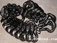 TH斗式提升机圆环链链钩